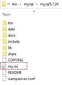 phpmyadmin le fichier my.ini